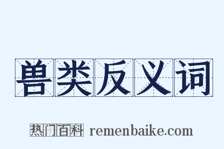兽类反义词是什么意思的图片